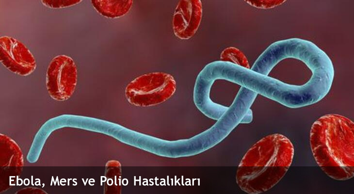 Ebola, Mers ve Polio Hastalıkları