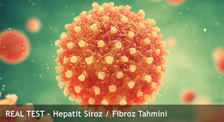 REAL TEST – Hepatit Siroz / Fibroz Tahmini
